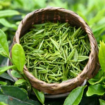 Види зеленого цейлонського чаю - фото