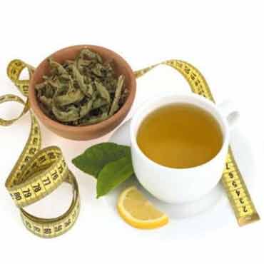 Как пить зеленый чай, чтобы похудеть фото