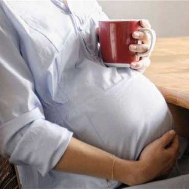 Чи можна пити зелений чай при вагітності фото